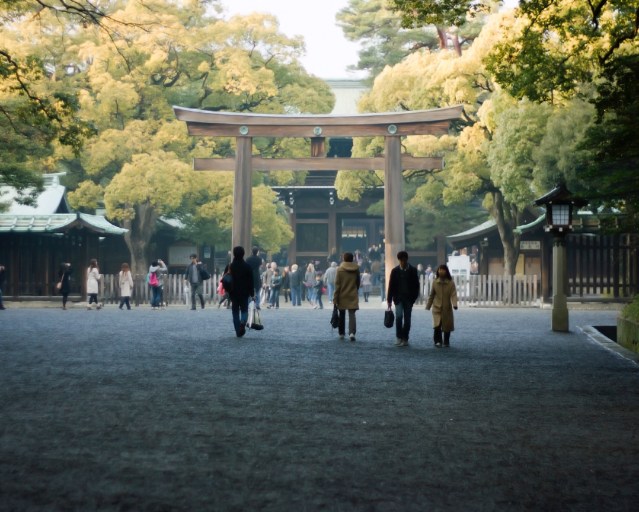 6e66797f423d41a55ae89267a6aebd29