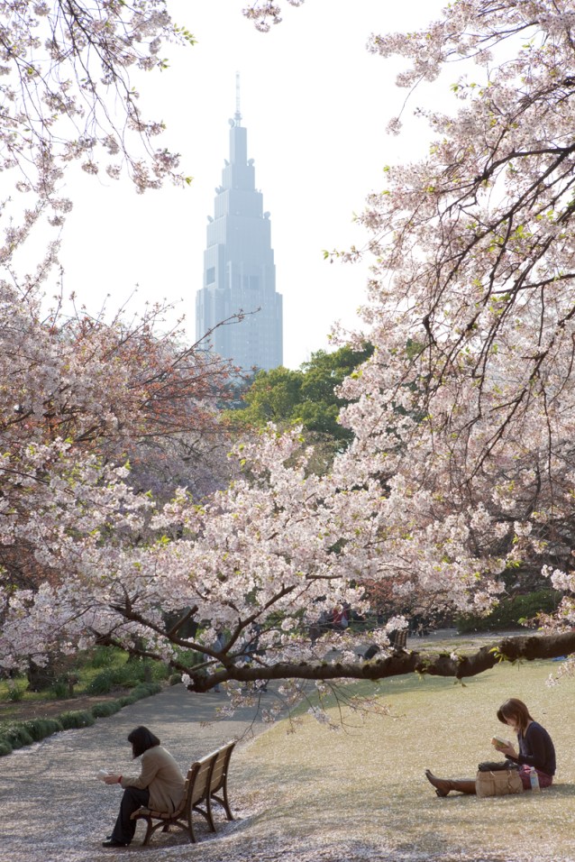 tumblr_m6uwo9cIhS1qfgxk4o1_1280